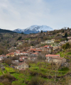 Φενεός