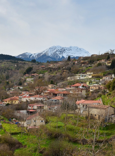 Φενεός